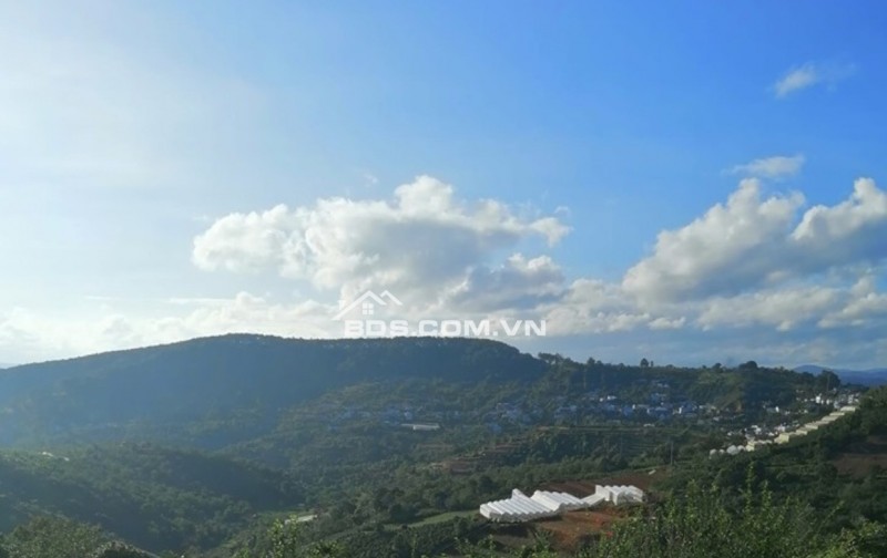 BÁN GẤP LÔ ĐẤT RỘNG VIEW THOÁNG ĐƯỜNG PHƯỚC THÀNH – ĐÀ LẠT 4000m2 GIÁ CHỈ 10tr/m2